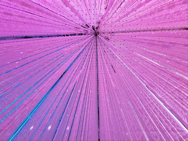 豐洲市場吃飽後好去處 豐洲teamLab Planets Tokyo美術館