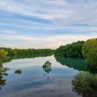 Hiking At Casuarina Coastal Reserve