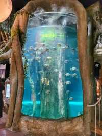 어른들도 신나는 바다속나라🐳아쿠아플라넷 여수🐠