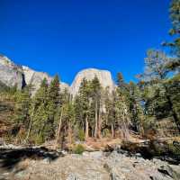 View From Yosemite Valley Floor