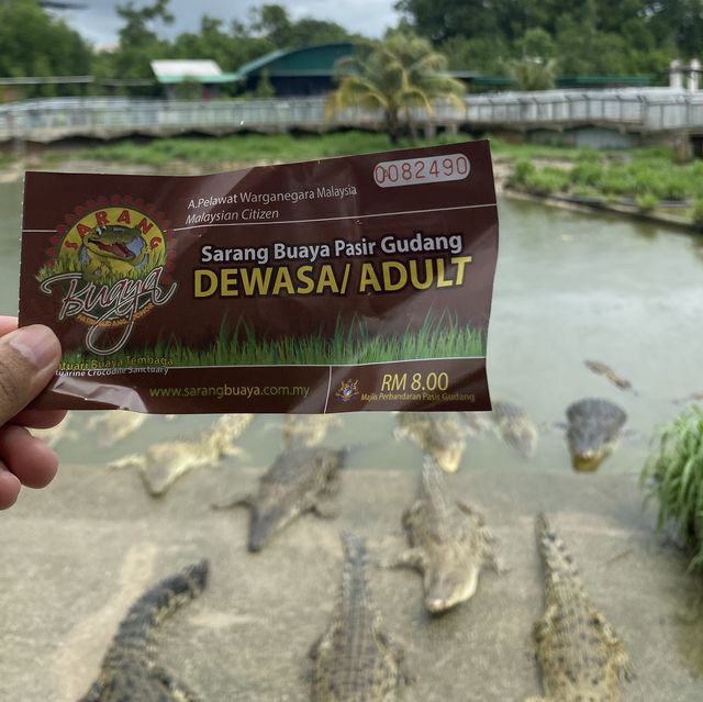 Good place to watch crocodile in live