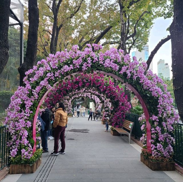 全港最大型的免費動植物公園