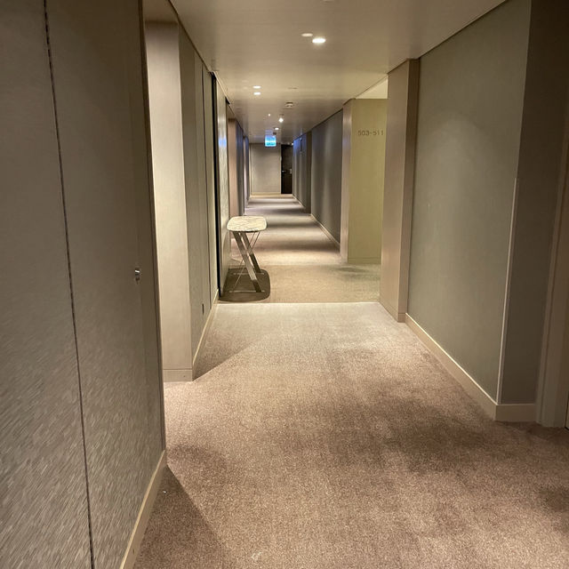 抵玩港威馬可孛羅