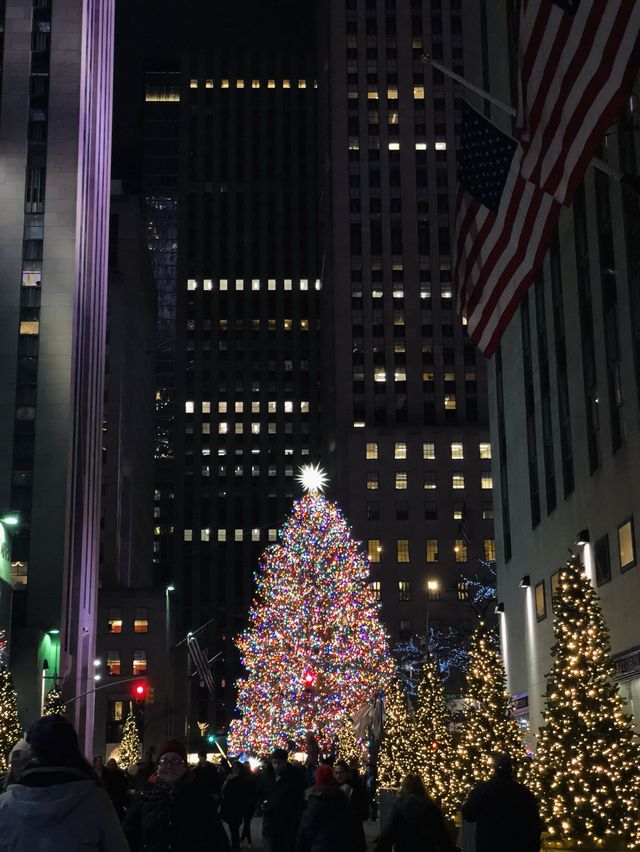 연말 여행은 역시. 🗽🎄✨