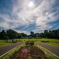 Bogor Botanical Garden