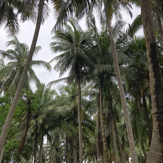丹能莎朵水上市場🤩曼泰地道生活體驗