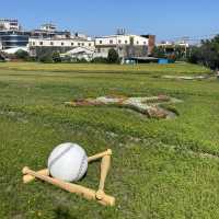 2021桃園花季在平鎮🌸🌼大家一起野球趣吧⚾️！