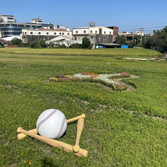 2021桃園花季在平鎮🌸🌼大家一起野球趣吧⚾️！