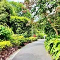 Singapore Botanic Gardens - Nature walk