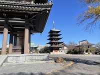 名古屋⛩覚王山【日泰寺】