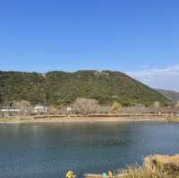 岩国 錦帯橋