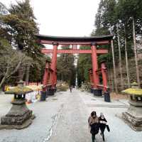 北口本宮冨士浅間神社の随神門と大鳥居