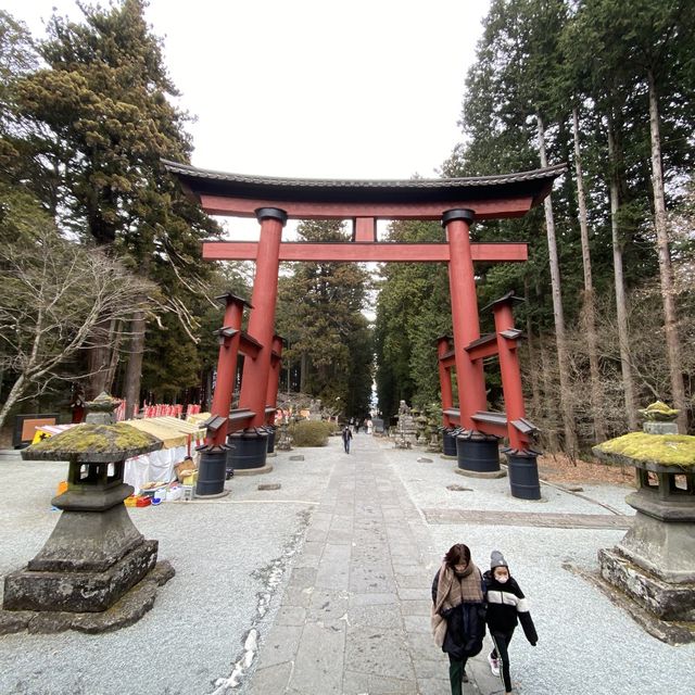 北口本宮冨士浅間神社の随神門と大鳥居