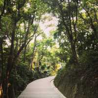 港島最高的空中花園