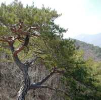 괴산여행 칠보산 등산 