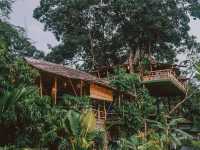 Tree House Cafe คาเฟ่บ้านต้นไม้ สงขลา 🛖🌲🌱