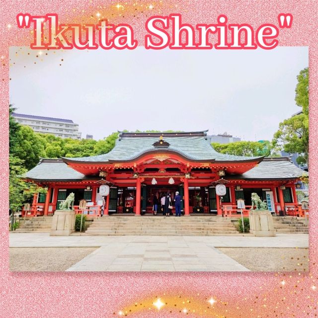 【兵庫県 神戸市】生田の森、生田神社✨✨
