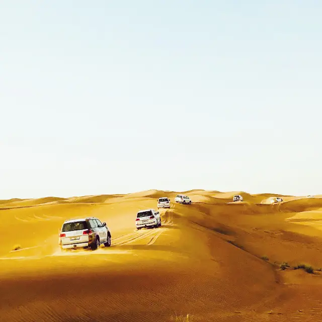 Visit Dubai Desert Safari