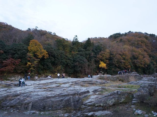 埼玉縣必去秘境➡️ 長瀞岩畳