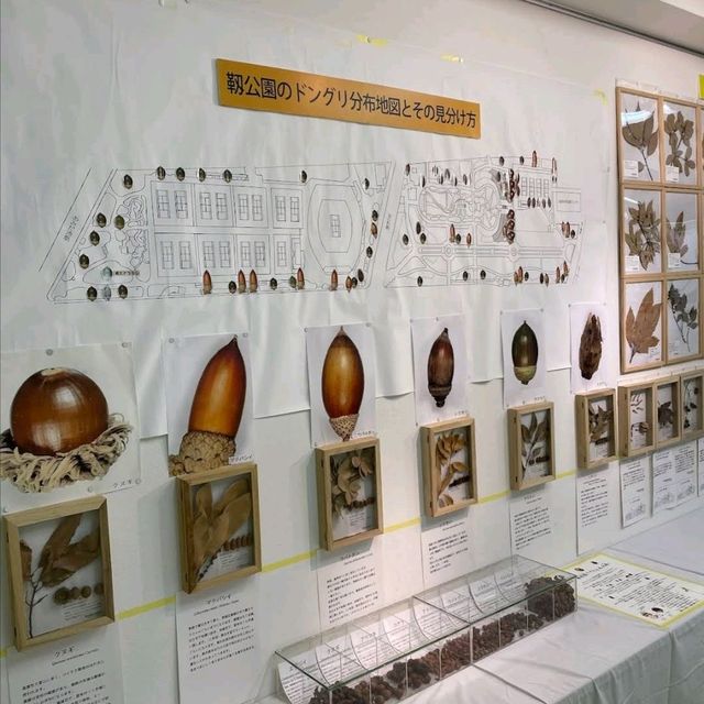 科學館