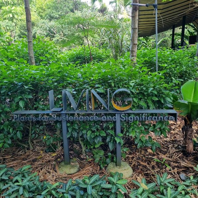 Ethnobotany Gardens Singapore 