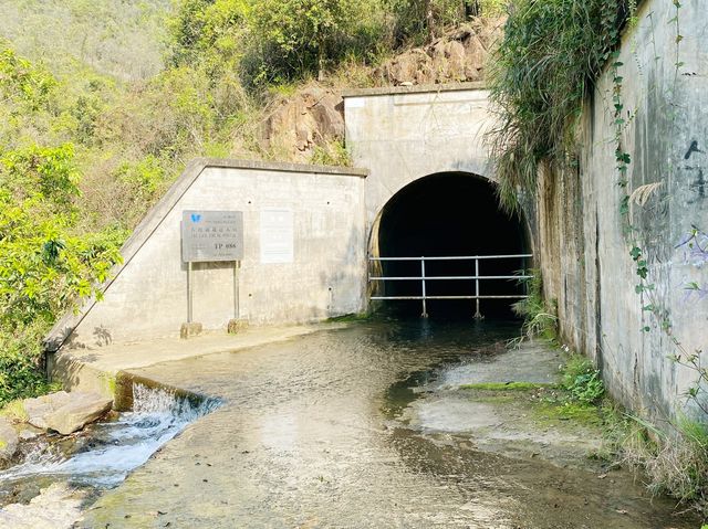 大欖郊野公園