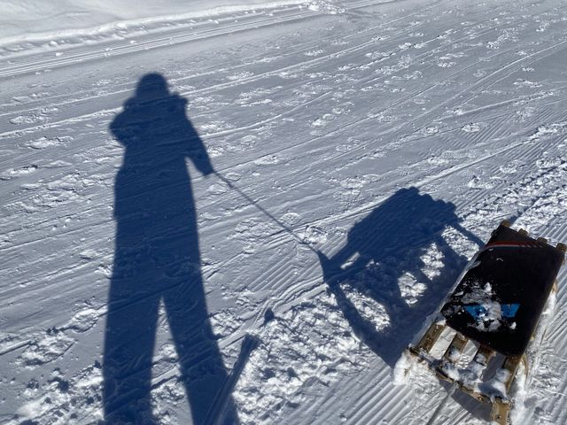 스위스 리기산에서 눈썰매 타기 🇨🇭