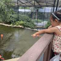 香港動植物公園 放電好地方