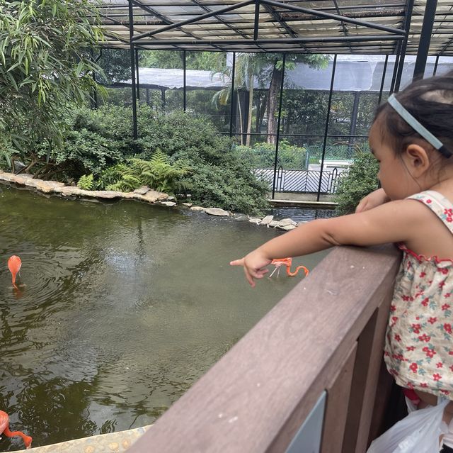 香港動植物公園 放電好地方
