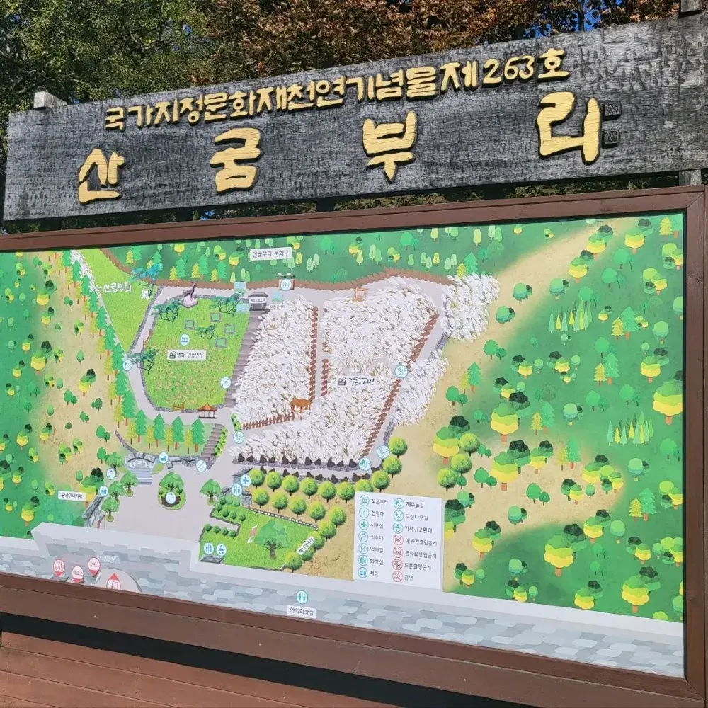 山君不離