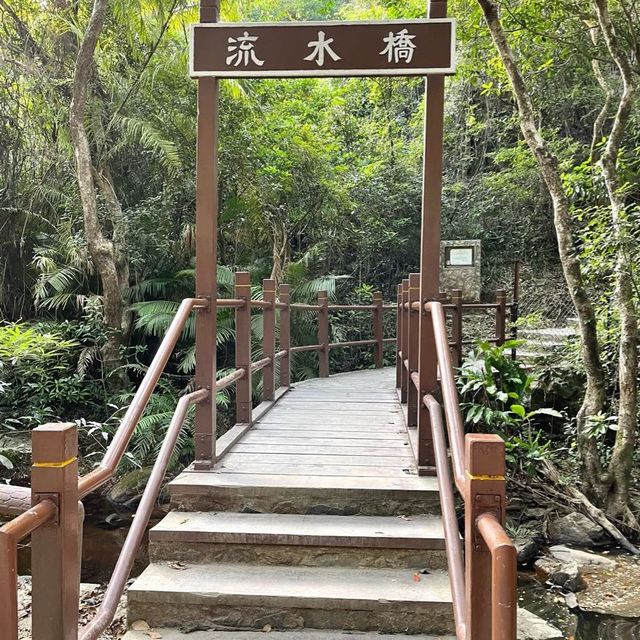 秋高氣爽🍂 流水響📸影落羽杉🌿影天空之鏡🪞