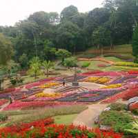 ชมดอกไม้.. ที่สวนแม่ฟ้าหลวง​