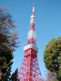 東京鐵塔下片片紅葉