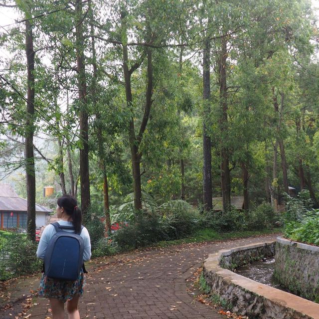 natural relax walk at San Flora Terra Batu