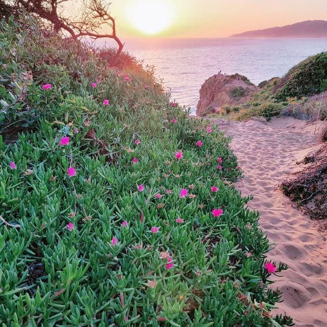 Point Dume, CA