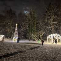 Baltic Winter Wonderland- Gdańsk, Poland