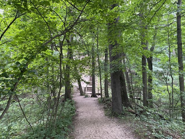 Trail 4 - Indiana Dunes State Park 