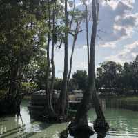 kayaking along rainbow river