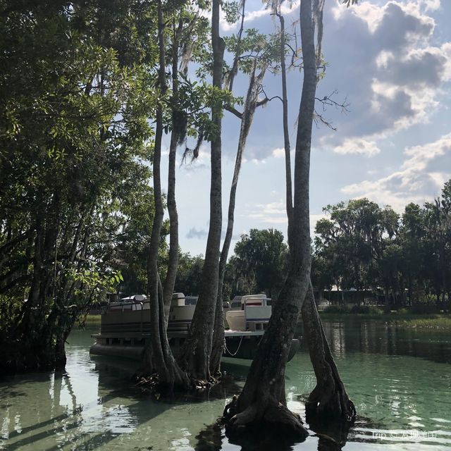 kayaking along rainbow river