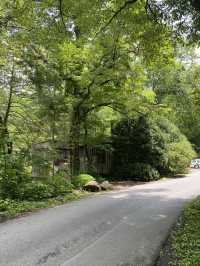 Roaring Fork Motor Natural Trail