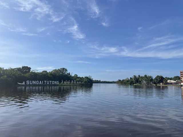 Tutong River 