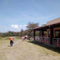 Savannah park  restaurant & camping naivasha 