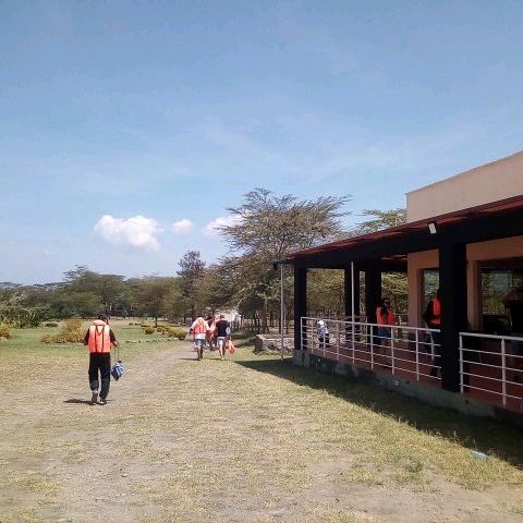 Savannah park  restaurant & camping naivasha 
