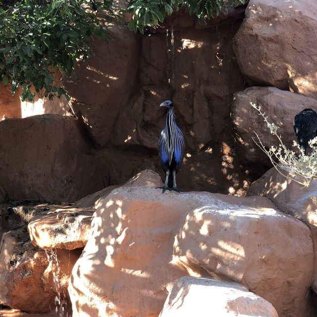 Al Areen Wildlife Park & Reserve