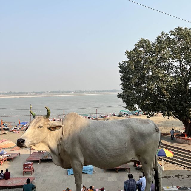VARANASI THE MAGIC CITY