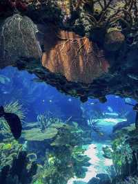 Largest Indoor Aquarium in Europe