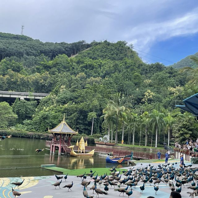 Primeval Forest Park - Xishuangbanna 