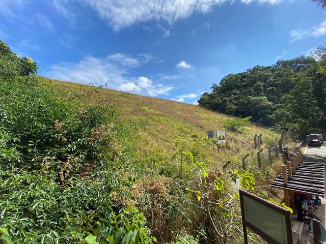 城門水塘輕鬆行山