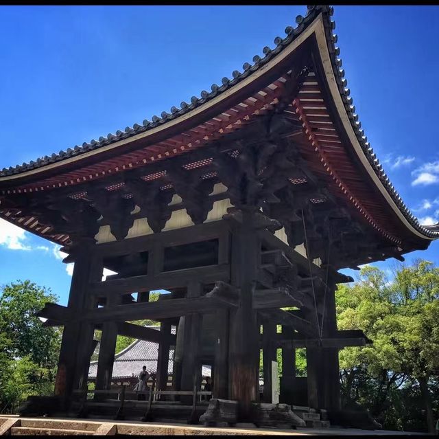 Todai Ji Temple - Nara 
