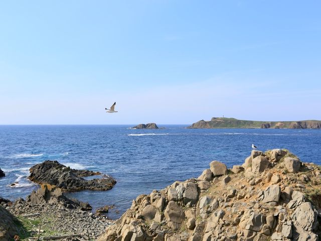 日本禮文島